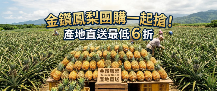 金鑽鳳梨團購一起搶